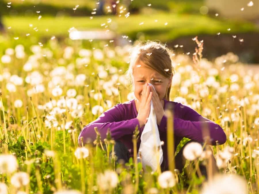 Kako Preživeti Prolećne Alergije: Alergeni, Simptomi, Prirodni Lekovi